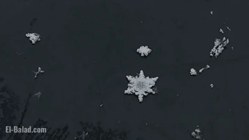 Where and When to Expect Snowflakes in Alabama