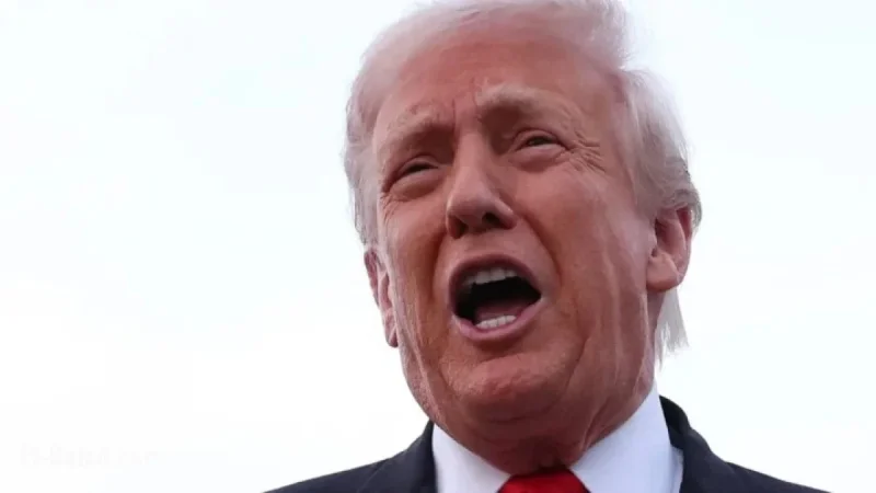 Critics Slam Democrats for Yielding to Trump on Shutdown