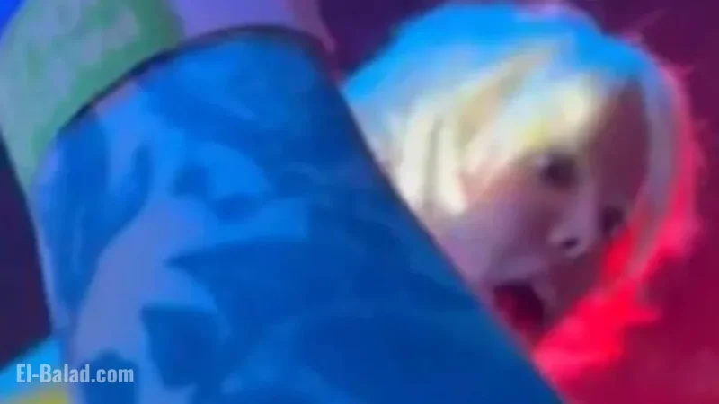 Fan Causes Uproar by Groping Pop Star During Concert