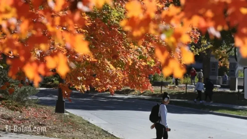 Illinois Universities Announce Thanksgiving Break Schedule