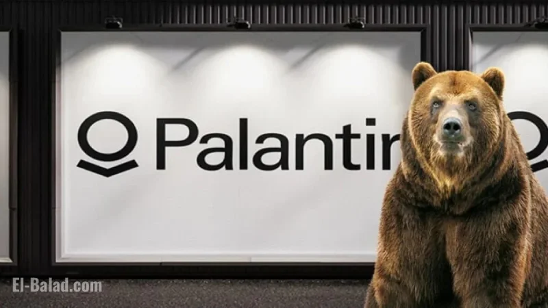 Investor Warns of Imminent Collapse for Palantir Shares