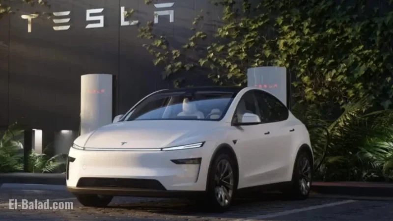Tesla Loses Key Program Manager of Its Top-Selling Electric Car