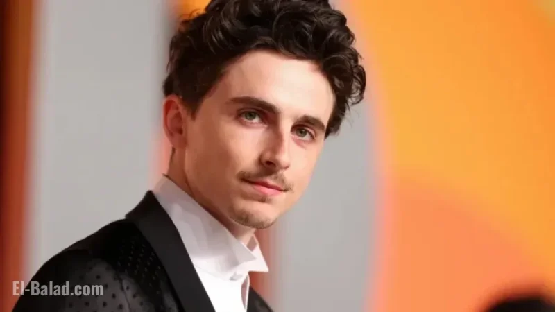 Timothée Chalamet Rejects TV Roles, Disappointed by Oscar Loss