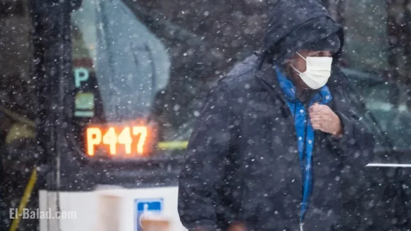 Winter Storm to Unleash 8 Inches of Snow Sunday Night, Says Weather Service