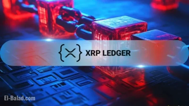 XRP DEX Records 954K Transactions Amidst Price Decline