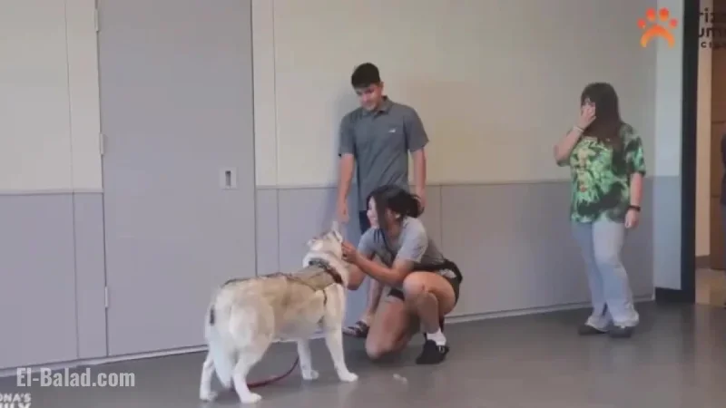 Arizona Soldier Reunites with Dog After Deployment