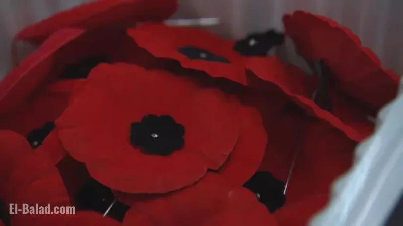 Halifax Remembrance Day: What’s Open and Closed
