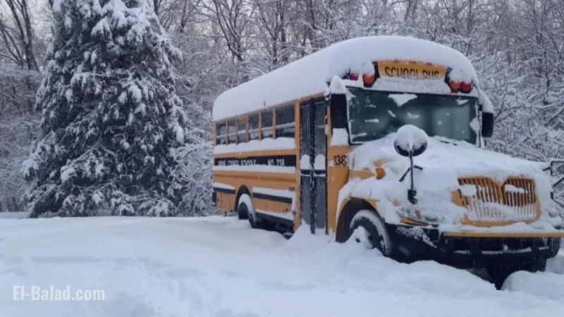 Southern Ontario: School Bus Cancellations and Closures for November 11, 2025