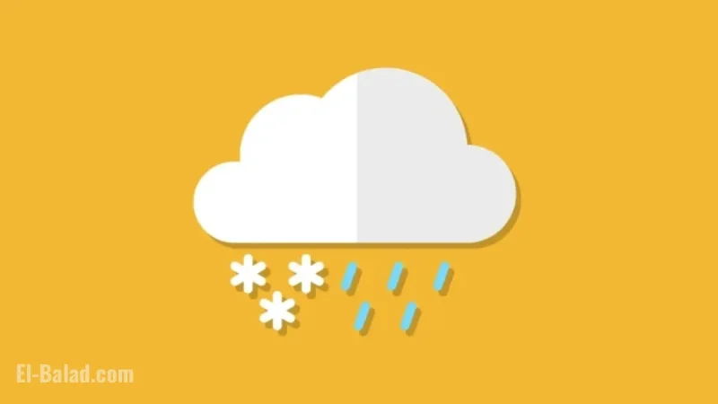 Stay Informed on Weather-Related Closures and Delays
