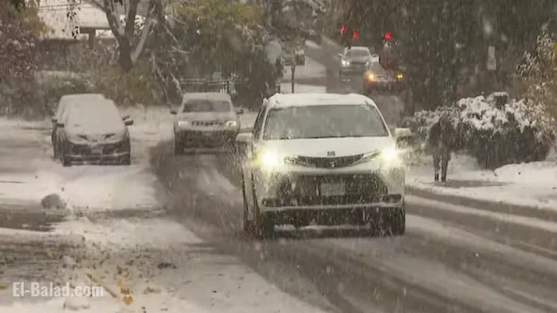 Toronto Police Urge Caution on Slippery Roads Amid Slushy Conditions