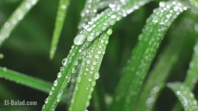Wet, Windy Week Precedes Colder Weather Shift
