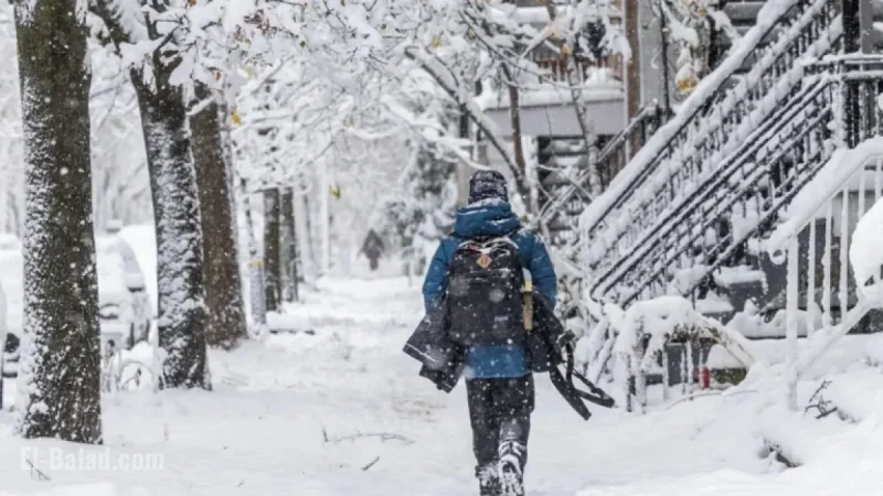 20 cm of Snowfall on November 11: Is This Normal?