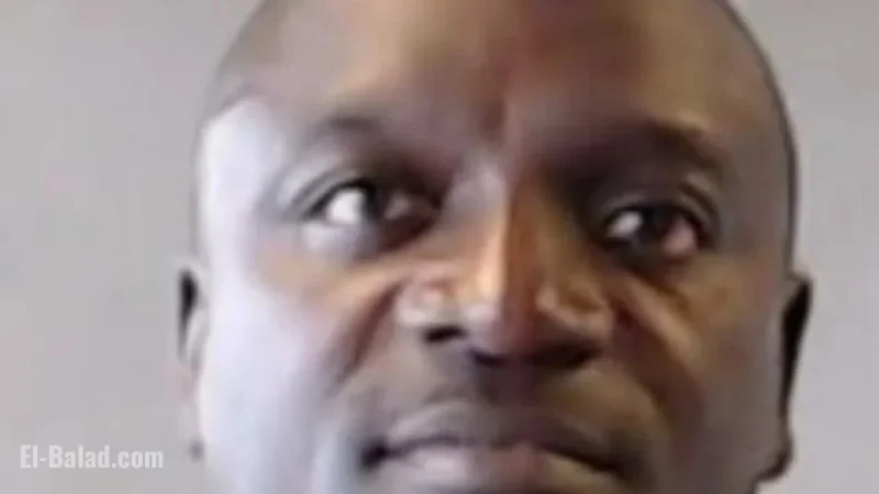 Akon Arrested in Georgia, Released After Out-of-County Warrant Issue