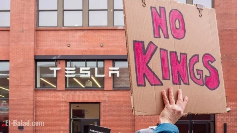 Anti-Elon Musk Group Plans Major Tesla Campaign for Nov 15
