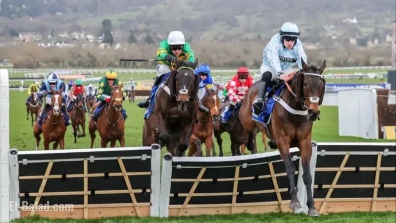 Cheltenham Festival 2026: Pertemps Final Qualification Races and Eligible Horses