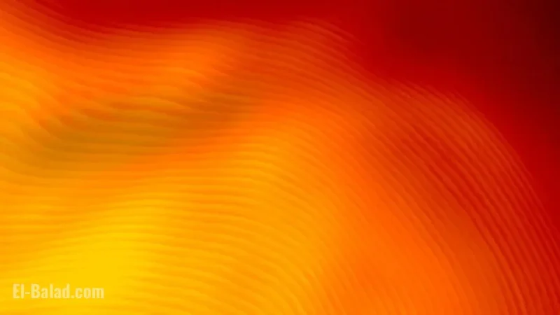 Global Energy Risks Demand Urgent Diversification and Cooperation