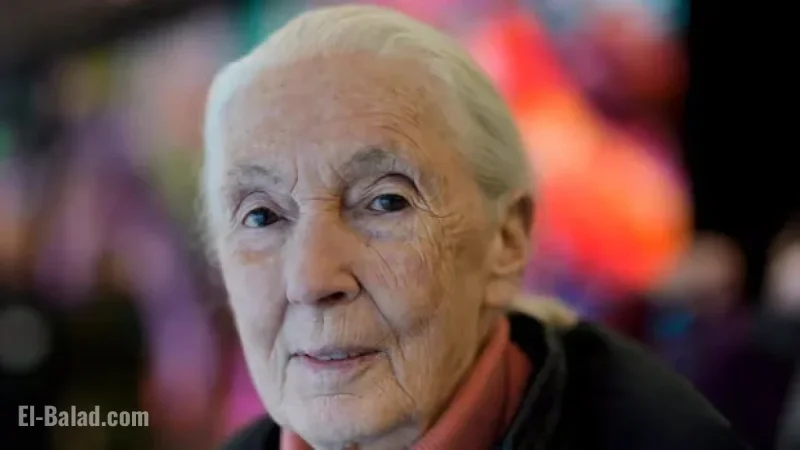Honoring Conservationist Jane Goodall at Washington Funeral