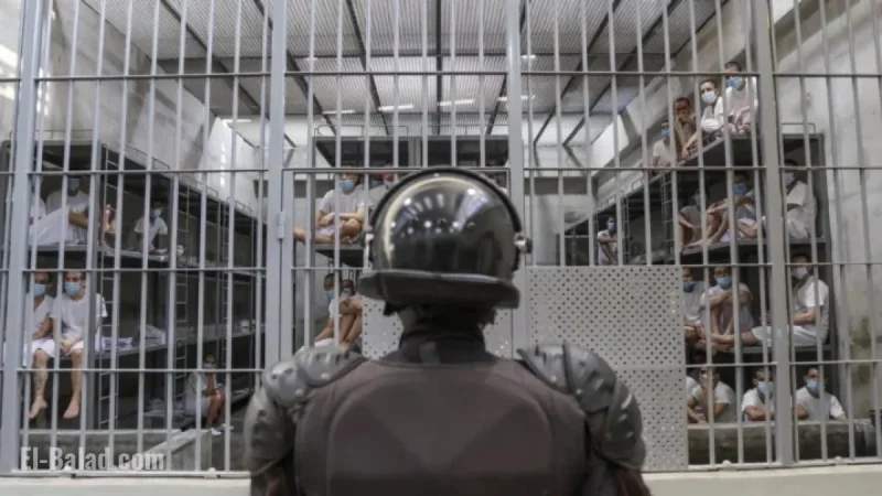 Report Claims Venezuelan Migrants in Salvadoran Prison Faced Torture, Arbitrary Detention