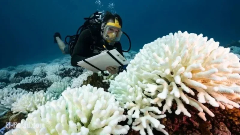 Reports Warn of Unlivable Future as Warming Exceeds Key Limit
