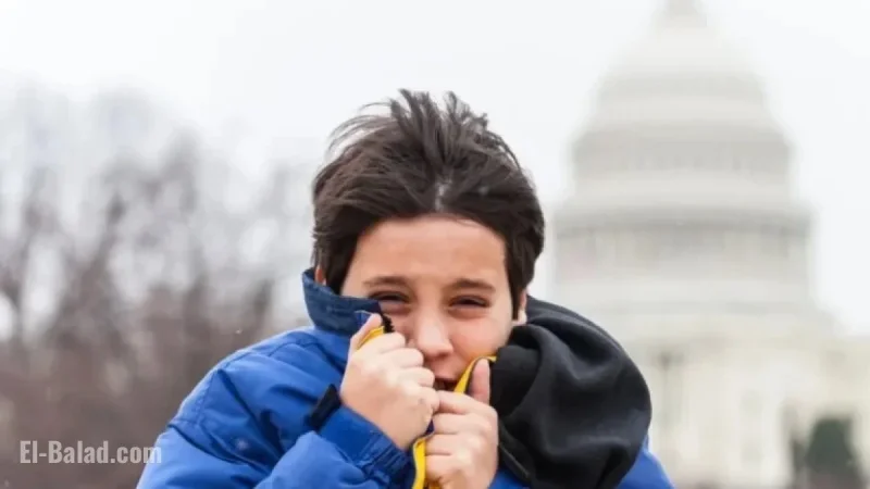 Veterans Day Cold Snap Brings Blustery Winds to DC Region