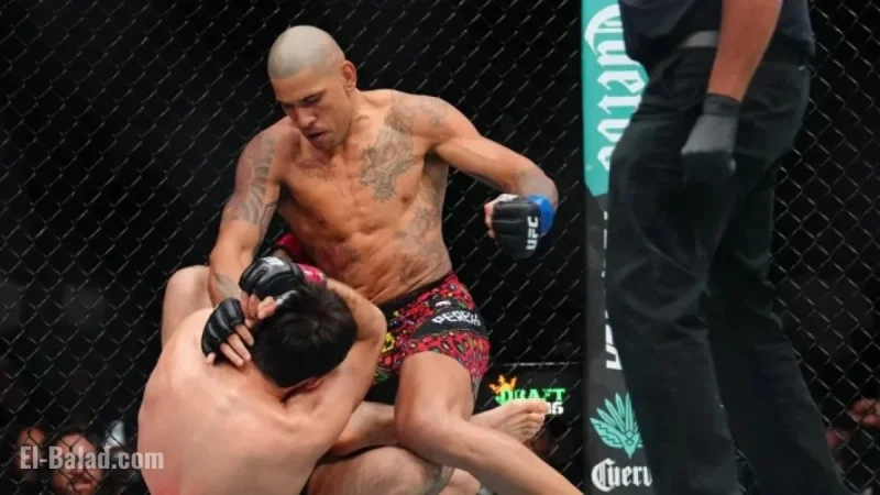 Alex Pereira Challenges Khamzat Chimaev with Surprising Offer; Chimaev Replies