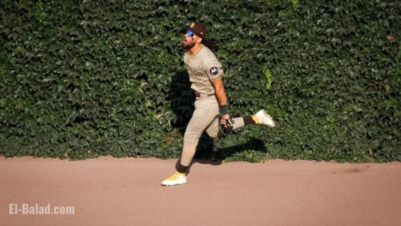 Padres Confirm Fernando Tatis Jr. Stays Amid Offseason Trade Rumors