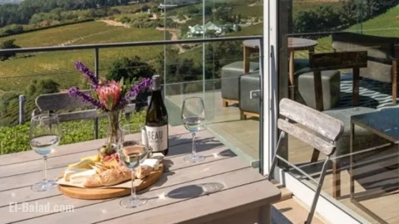 Top Wine Tasting Experiences to Discover in Cape Town