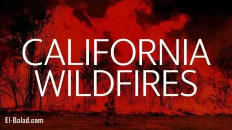 Wildfire Ignites in Los Angeles County, California
