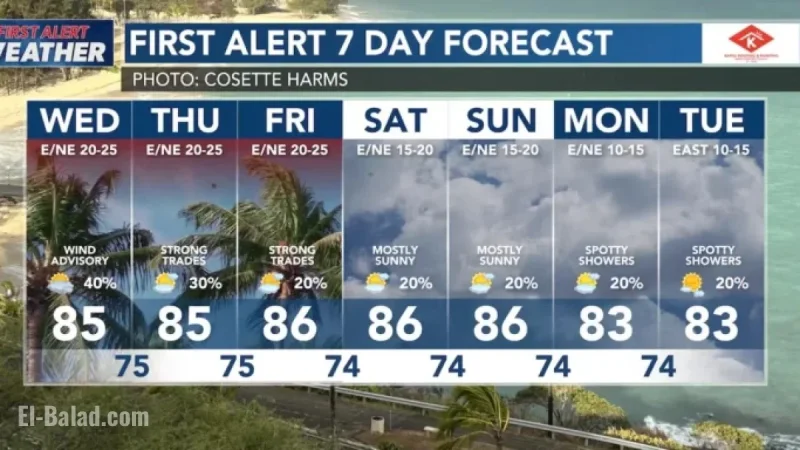 Wind Advisory Issued: Prepare for Strong Trade Winds