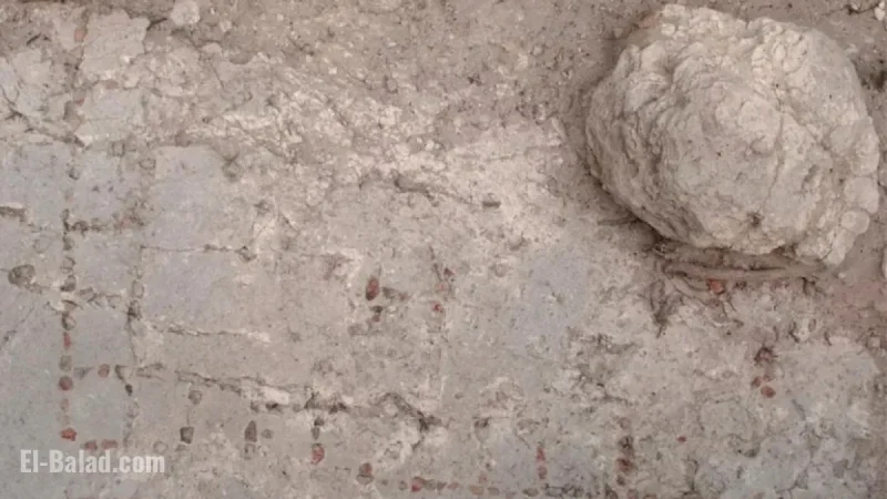 Archaeologists Discover Unique Maya Mosaic Patolli Board in Guatemala