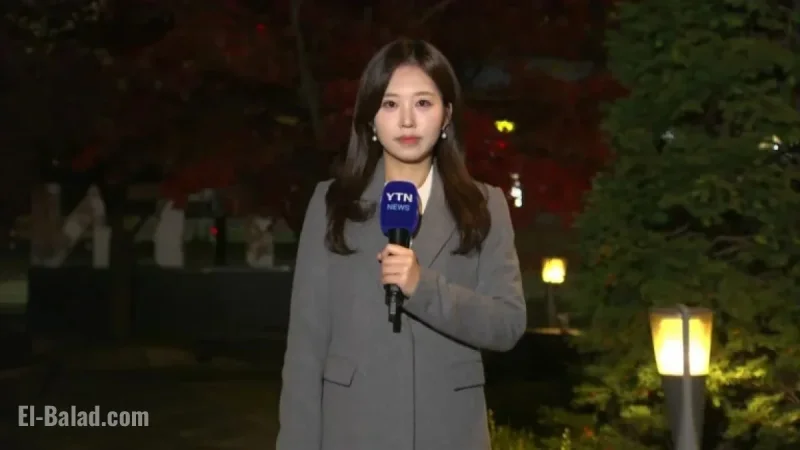 Dense Fog in Inland Areas: Clear and Chilly Late Autumn Weather