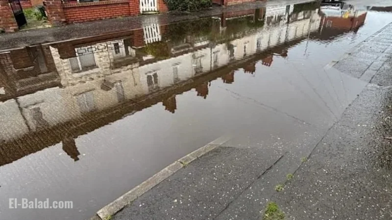 East Belfast Flooded: Heavy Rains, Drainage Issues Disrupt Parking and Waste Collection