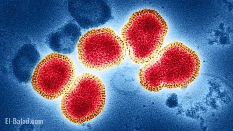 Experts Brace for Uncertain Flu Season with Mismatched Strain and Absent CDC