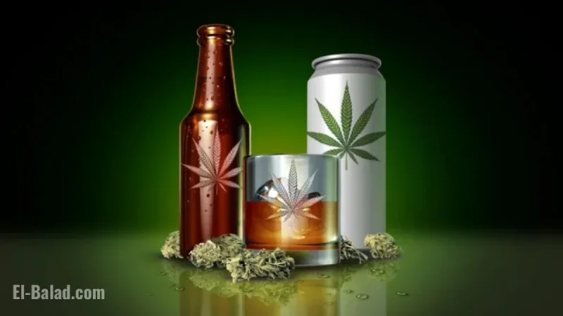 Hemp Industry’s $28 Billion Future Threatened by Government Reopening