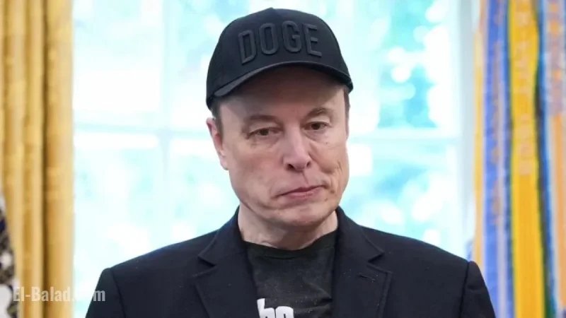 Pop Star Criticizes Elon Musk as ‘Coward’