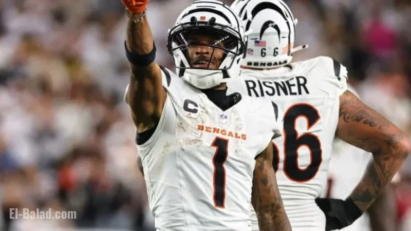 2025 Week 11 Fantasy Football Wide Receiver Rankings