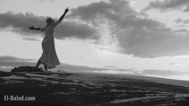 Discover Joaquin Phoenix’s ‘Trillion’: Unveiling Its Mystery at the End