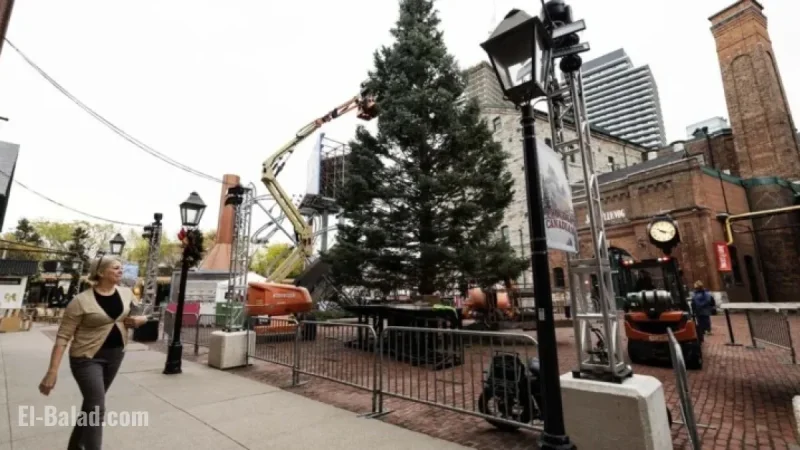 Distillery District Winter Village Reports Fake Gambling Ad Website to Police
