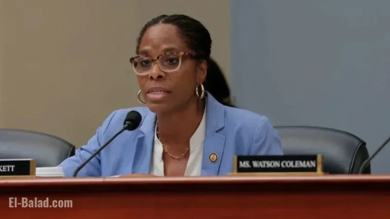 Epstein Texted Del. Stacey Plaskett During 2019 Congressional Hearing