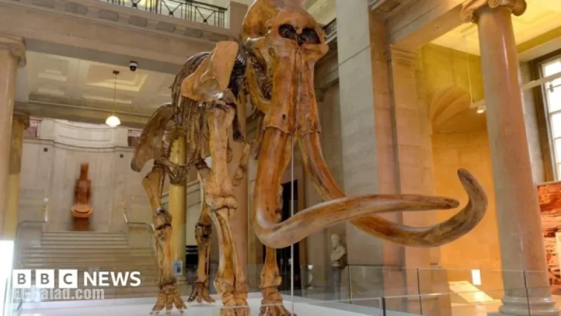Sir Tom Jones Honored with Museum Mammoth Named After Him