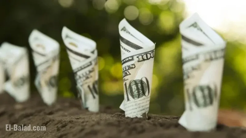 Top 4 Dividend Stocks to Boost Your Portfolio Now