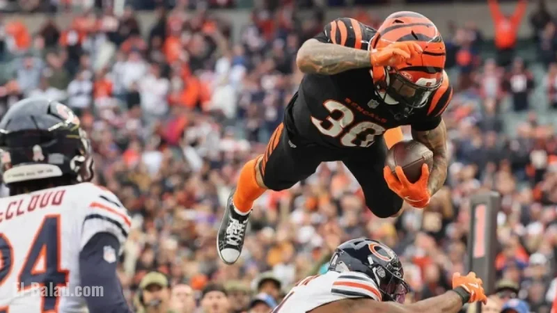 Top NFL DFS Picks for Week 11 Fantasy Football