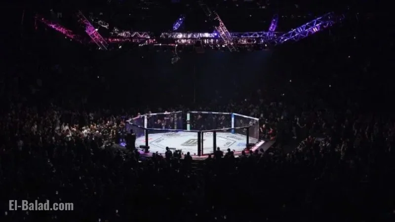 UFC 322: Will Any Titles Change Hands?
