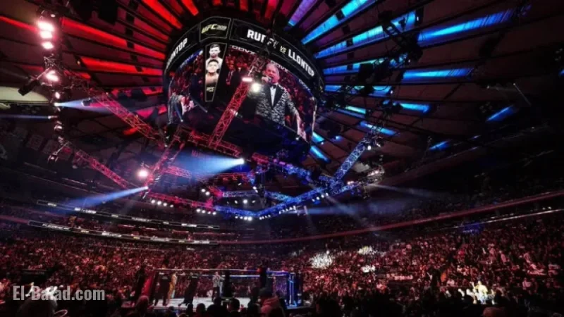 VeChain UFC 322 Update: Della Maddalena Faces Makhachev