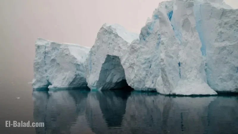 Antarctica Issues Critical Climate Red Flag Warning