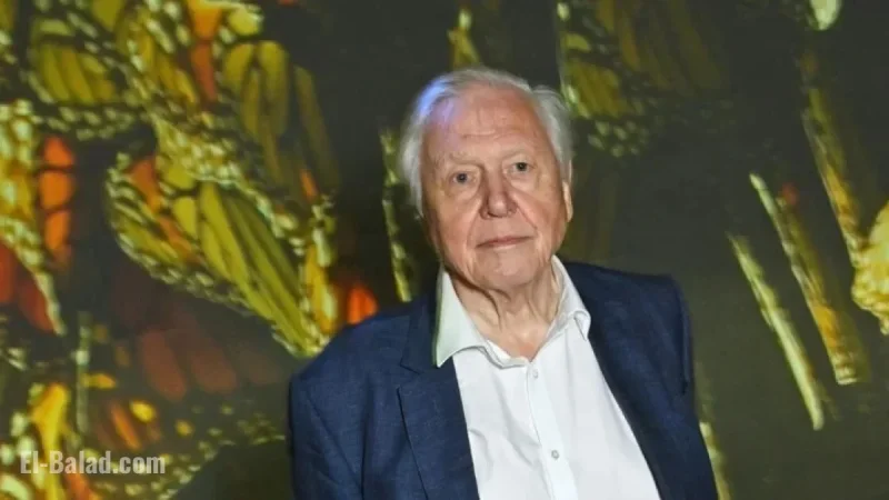 David Attenborough’s Marriage Ends After 47 Years Due to Tragic Call