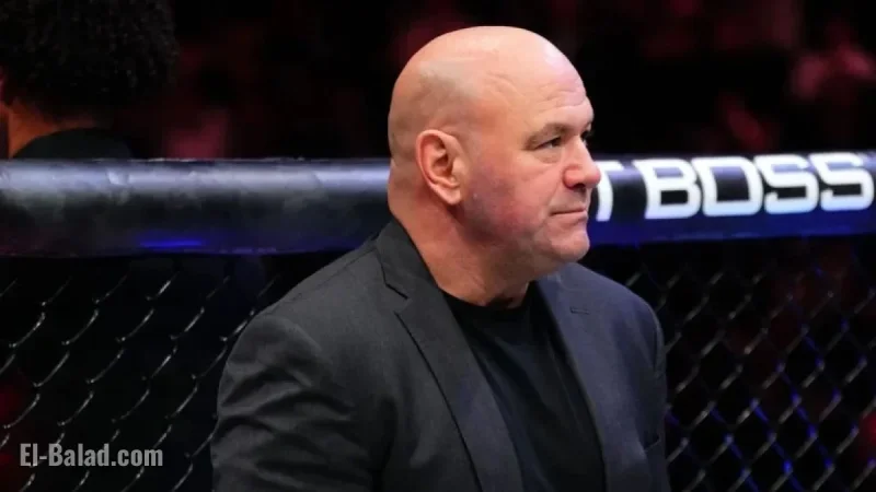Dillon Danis Banned from UFC Following MSG Brawl, Says White