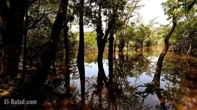 Ecuador’s Constitutional Nature Protections Face New Threats