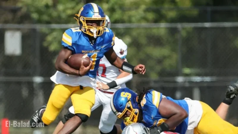 IHSA 2025 State Football Quarterfinal: Full Scores and Highlights