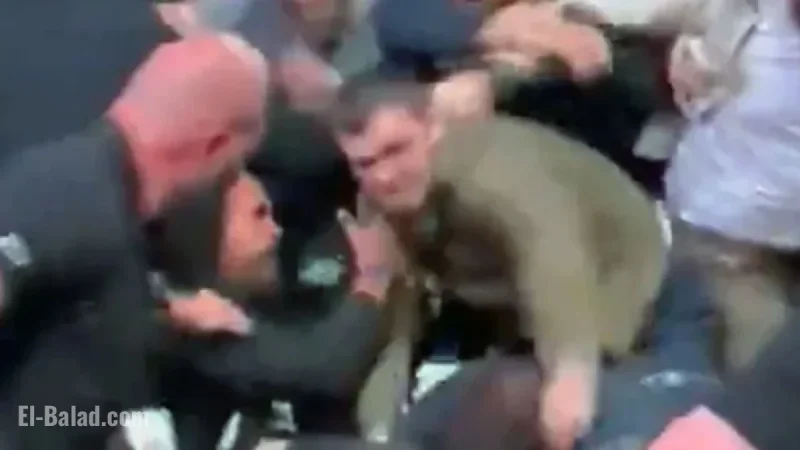 UFC 322: Dillon Danis and ‘John Pork’ Clash in Heated Brawl